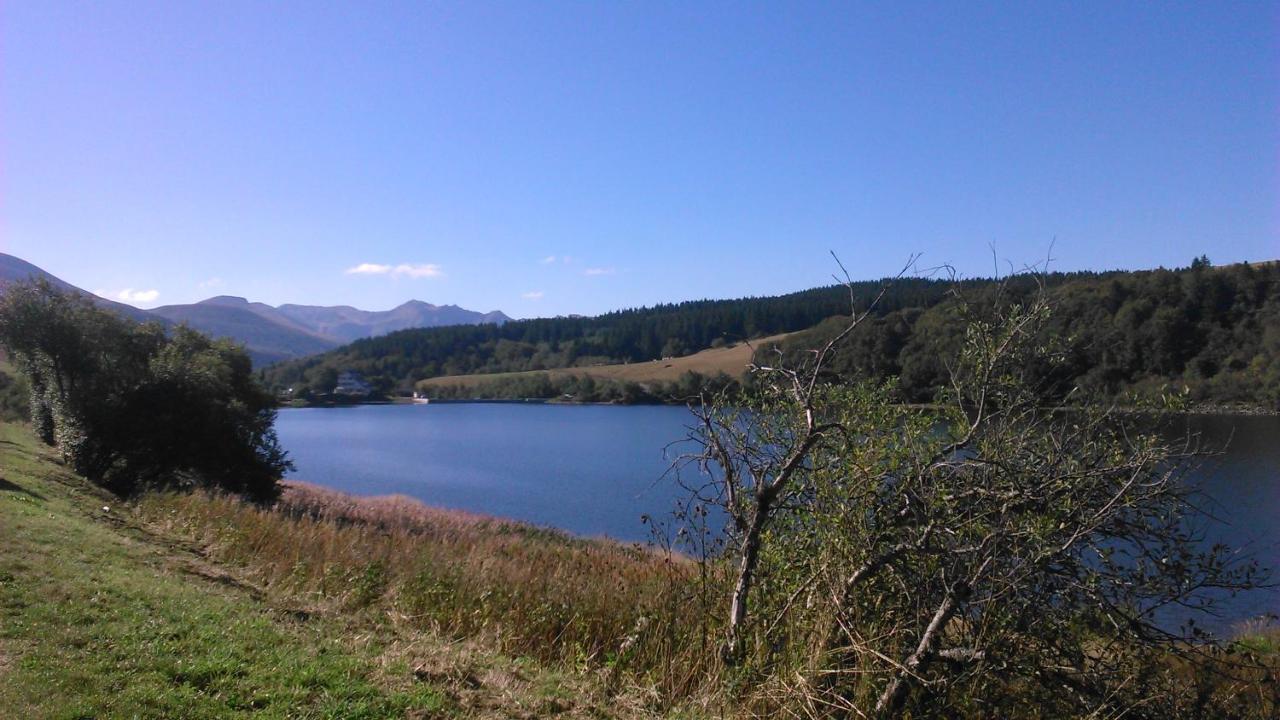 Iris, Gite Saint Antoine, Orcival, Entre Sancy Et Volcans D'Auvergne Exterior photo