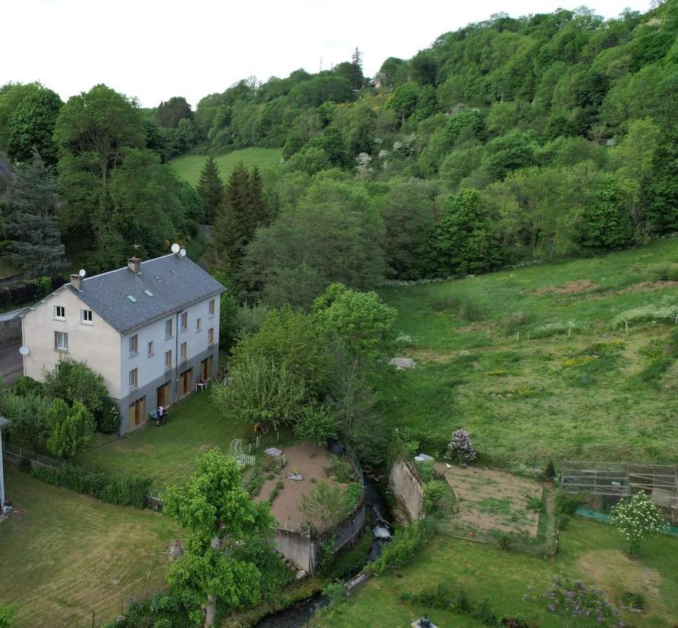 Iris, Gite Saint Antoine, Orcival, Entre Sancy Et Volcans D'Auvergne Exterior photo